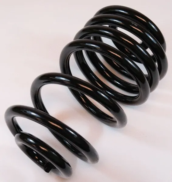 Suspension Spring (58747)