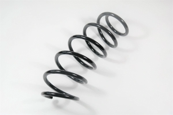 Suspension Spring (67371)