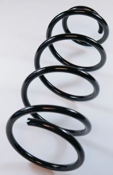 Suspension Spring (67165)
