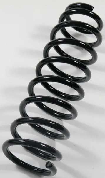 Suspension Spring (67047)