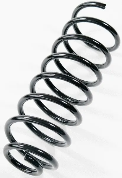 Suspension Spring (66875)