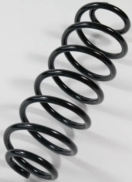 Suspension Spring (67412)