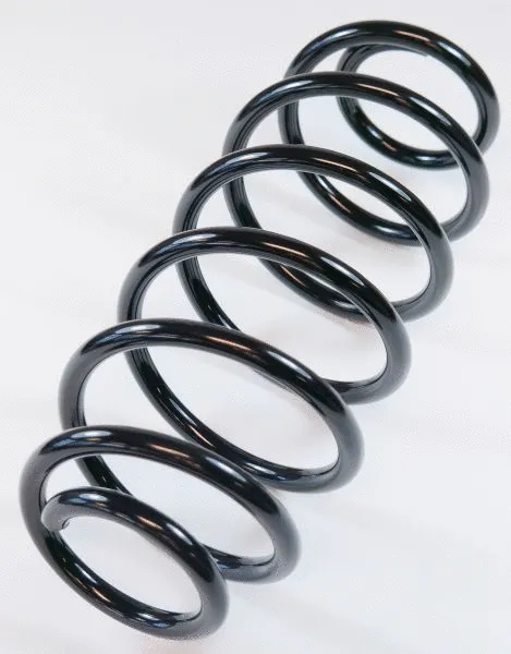 Suspension Spring (62851)