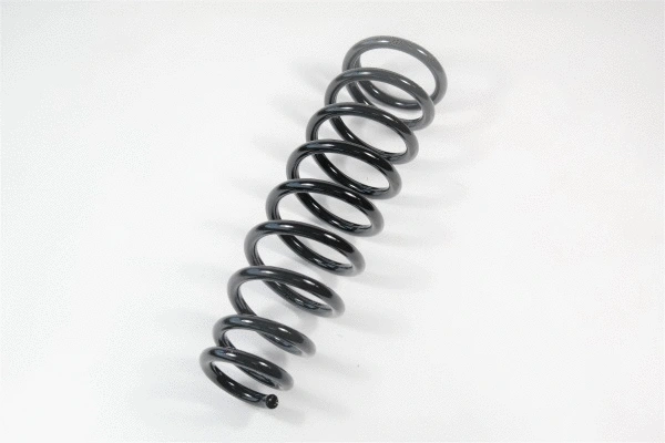 Suspension Spring (67295)