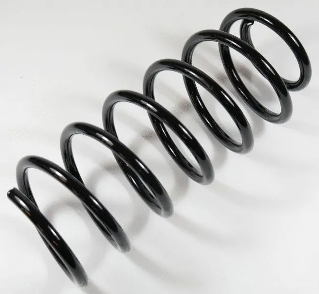 Suspension Spring (63144)