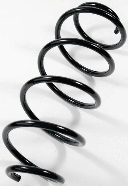 Suspension Spring (66506)