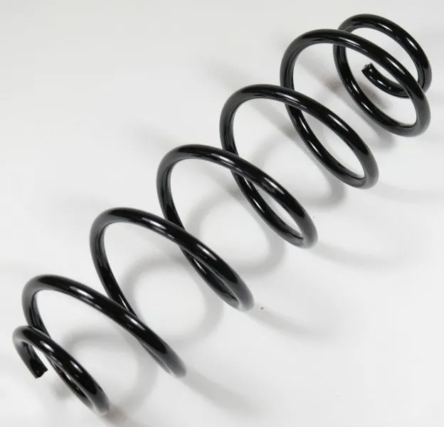 Suspension Spring (64482)