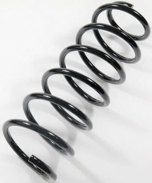 Suspension Spring (60950)