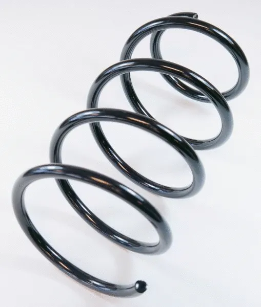 Suspension Spring (66007)