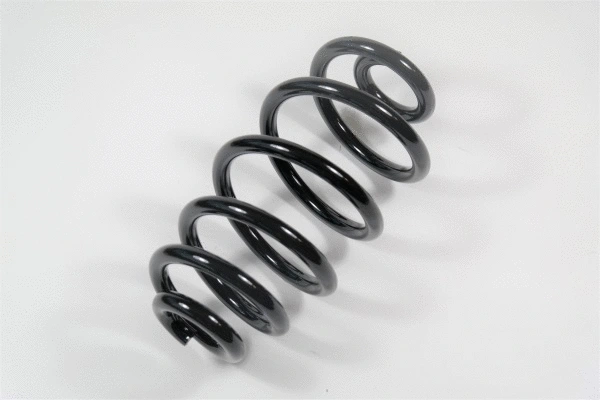 Suspension Spring (64219)
