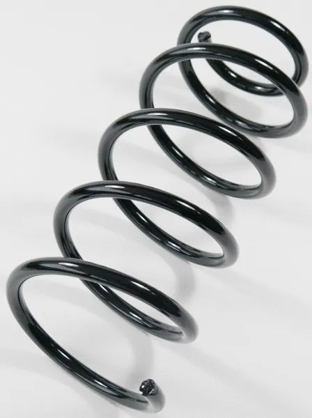 Suspension Spring (66965)