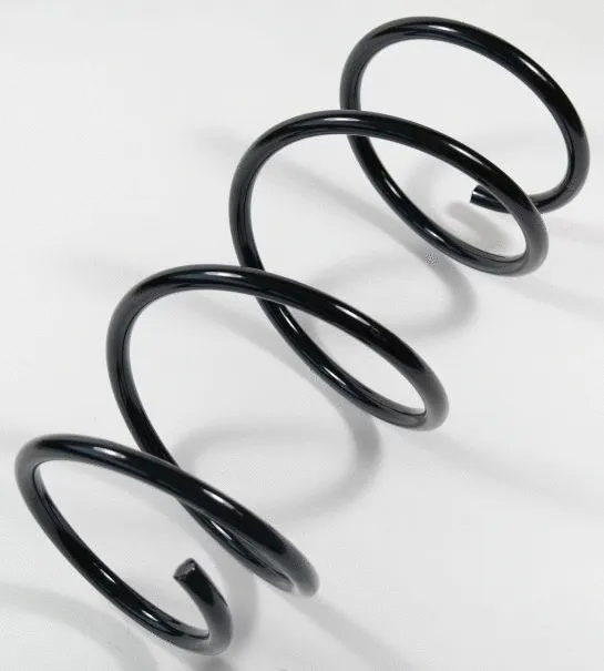Suspension Spring (64696)