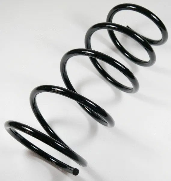 Suspension Spring (63872)
