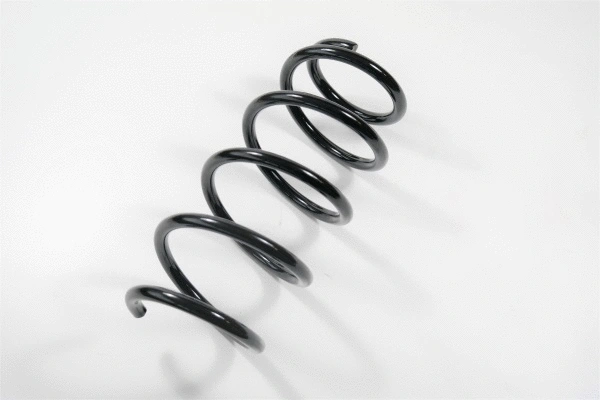 Suspension Spring (67200)