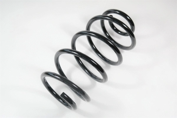Suspension Spring (66705)