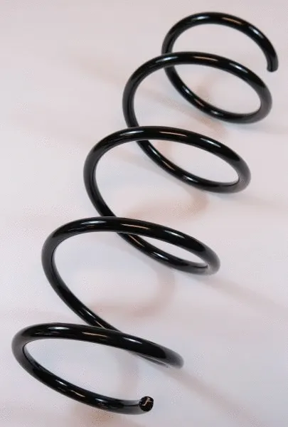 Suspension Spring (64971)