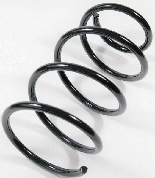 Suspension Spring (64004)