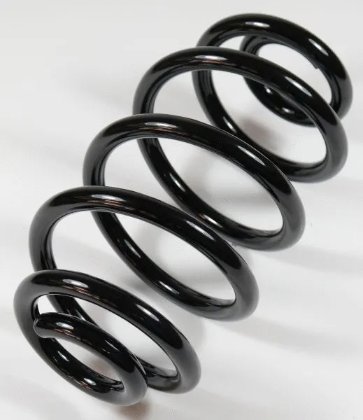 Suspension Spring (66702)