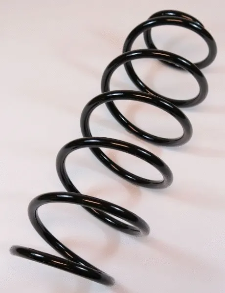Suspension Spring (66509)