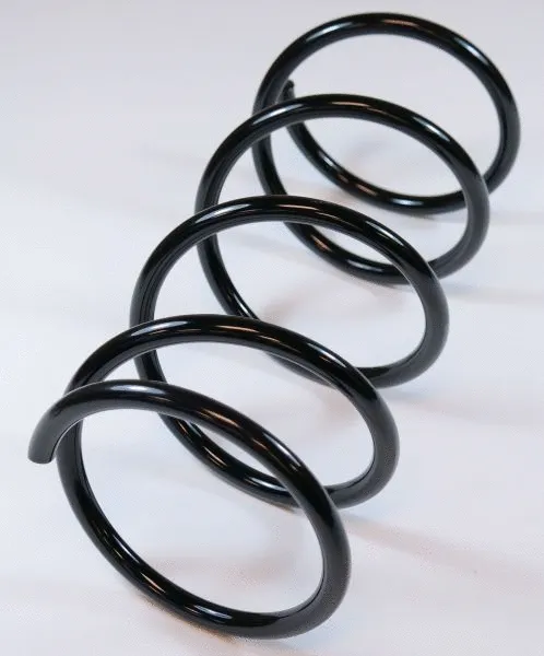 Suspension Spring (62875)