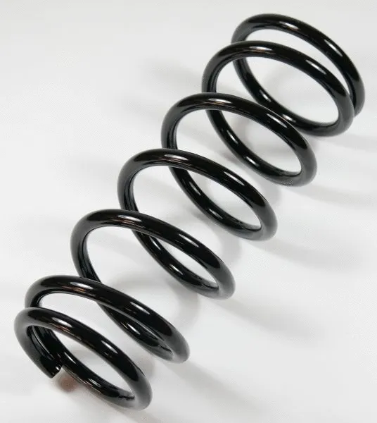 Suspension Spring (64280)