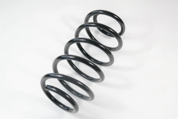 Suspension Spring (67269)