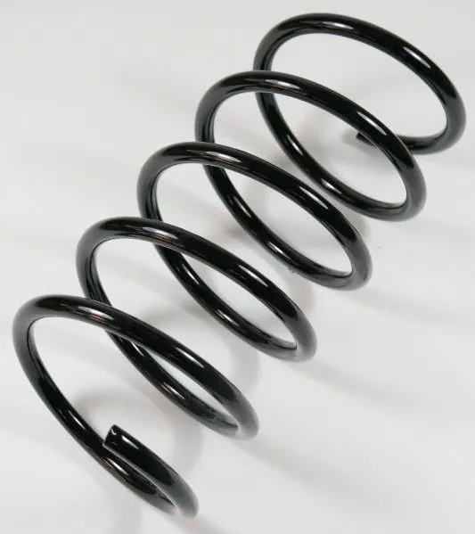Suspension Spring (62995)