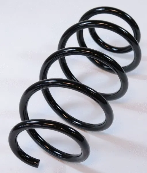 Suspension Spring (63756)