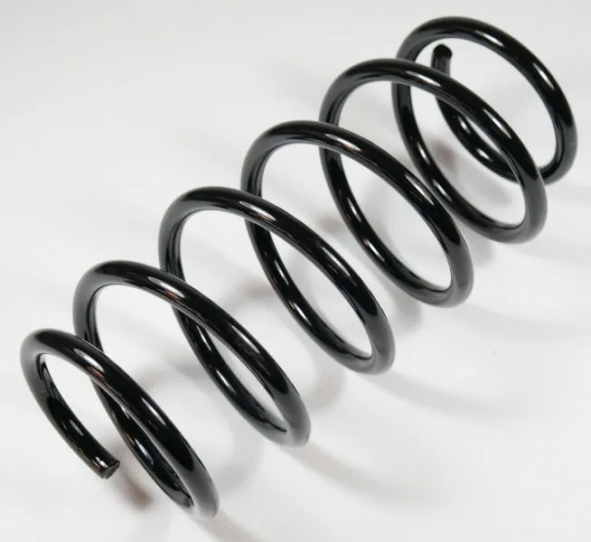 Suspension Spring (63614)