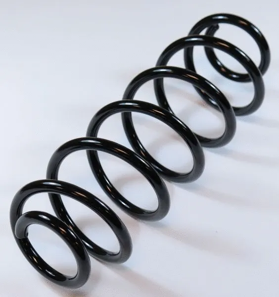 Suspension Spring (66510)