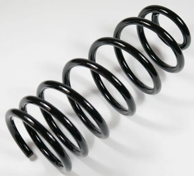 Suspension Spring (62947)