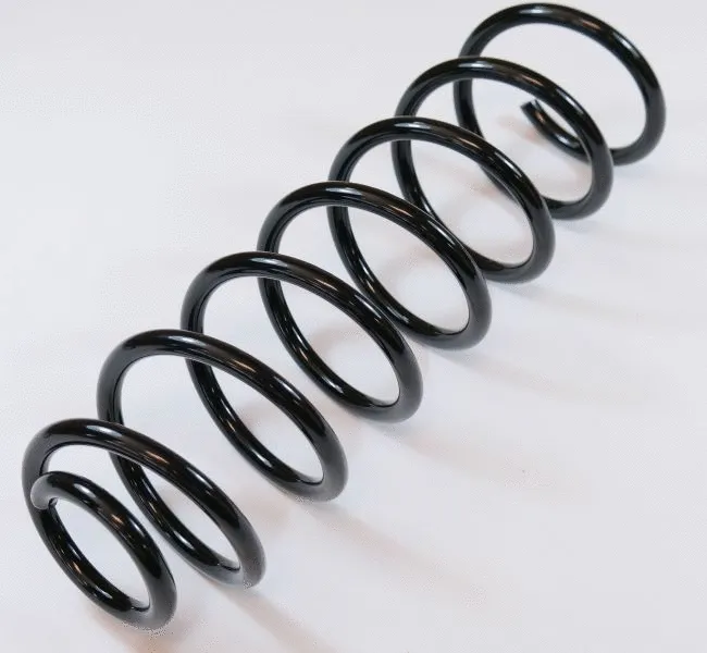 Suspension Spring (63368)