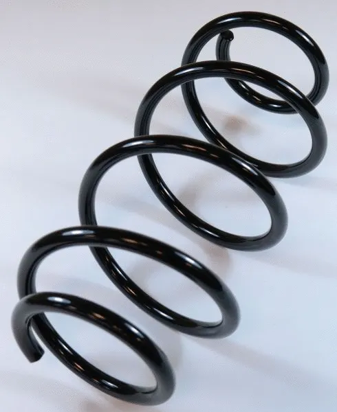 Suspension Spring (66843)