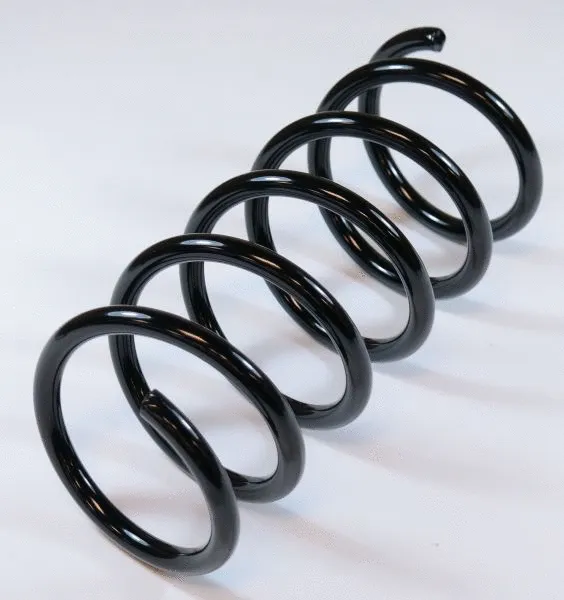 Suspension Spring (63721)