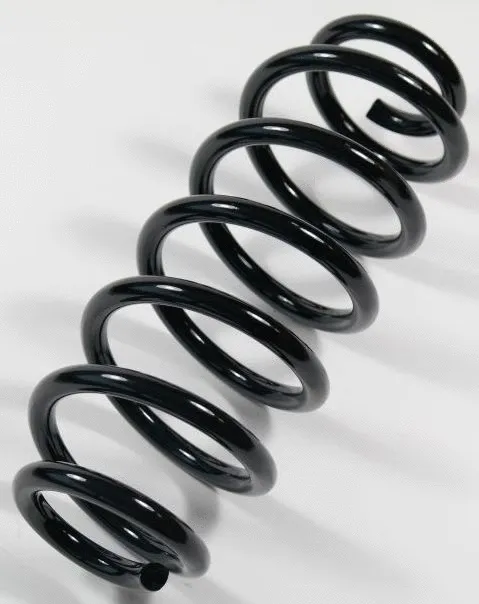 Suspension Spring (67405)