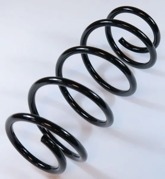 Suspension Spring (66800)