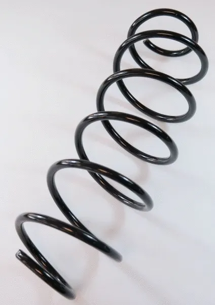 Suspension Spring (63455)