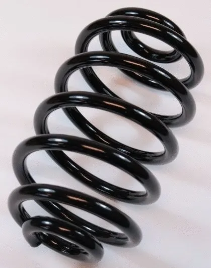 Suspension Spring (66172)