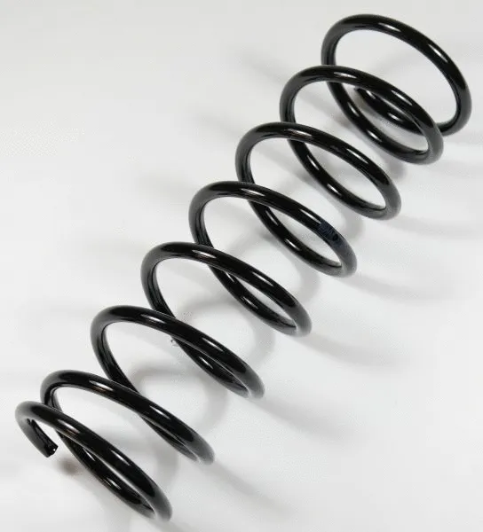 Suspension Spring (62676)