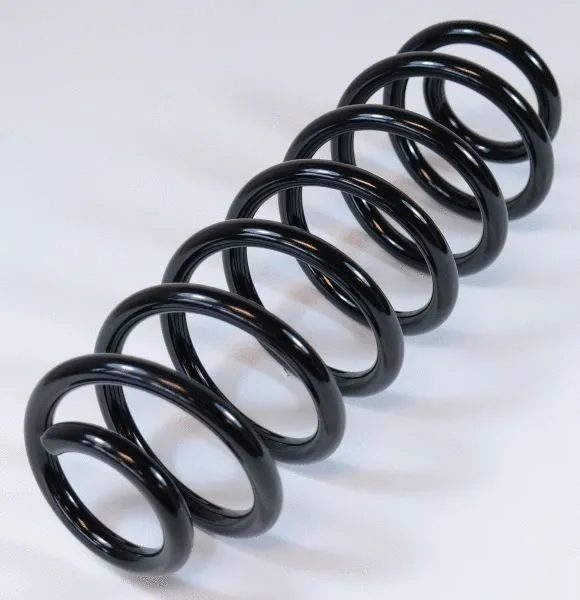 Suspension Spring (67242)