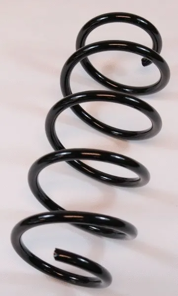 Suspension Spring (66666)