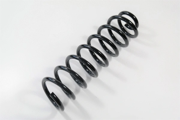 Suspension Spring (64289)