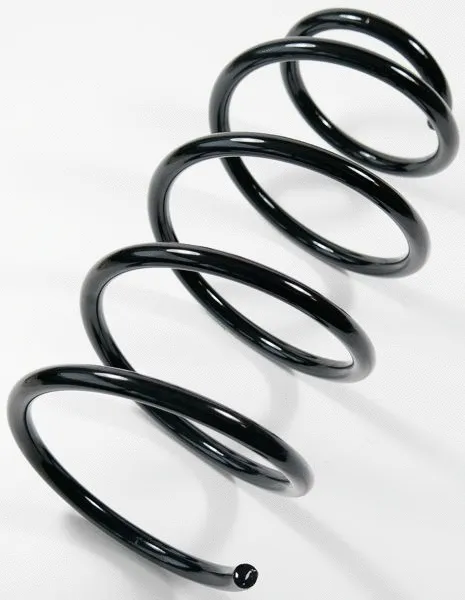 Suspension Spring (66670)