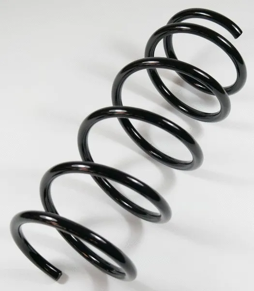 Suspension Spring (66797)