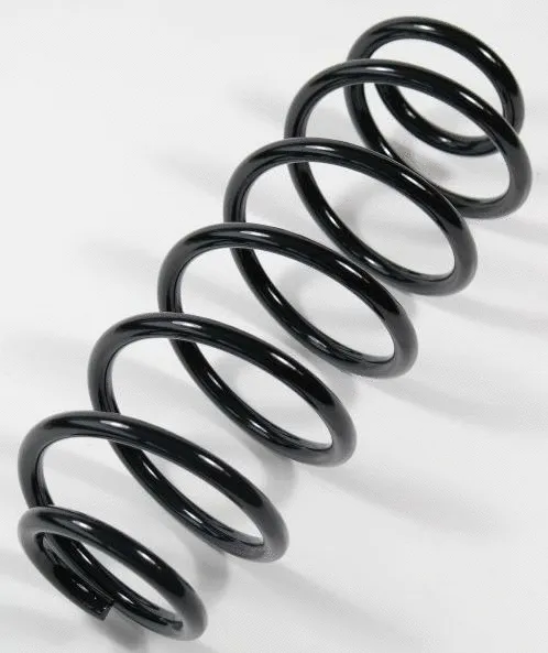 Suspension Spring (63944)
