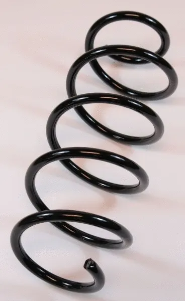 Suspension Spring (65979)