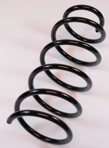 Suspension Spring (66185)