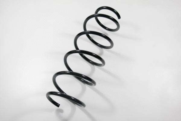 Suspension Spring (58973)