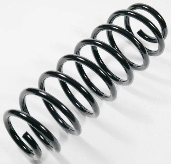 Suspension Spring (64030)