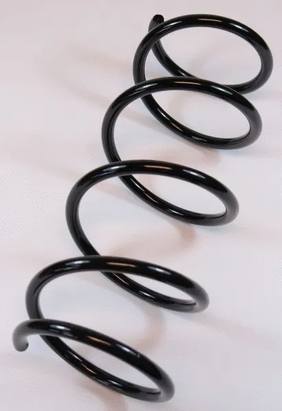 Suspension Spring (66939)